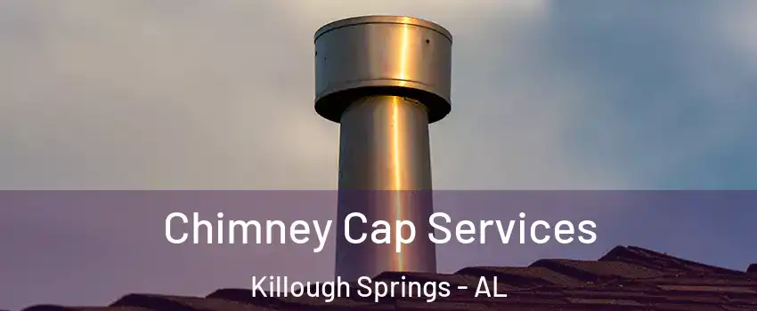 Chimney Cap Services Killough Springs - AL