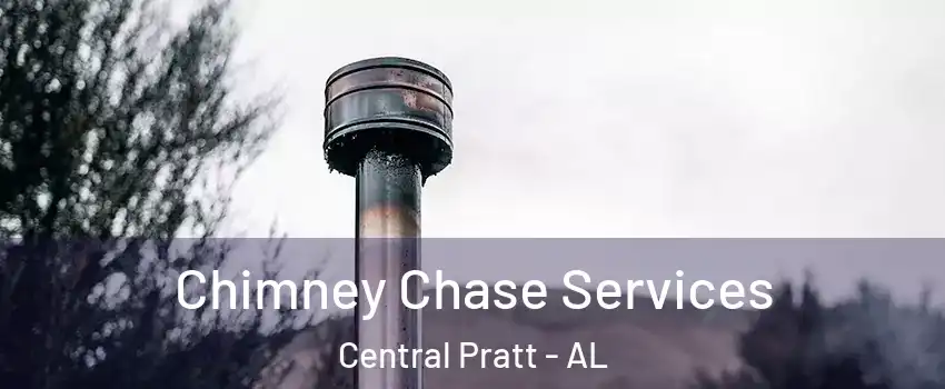 Chimney Chase Services Central Pratt - AL