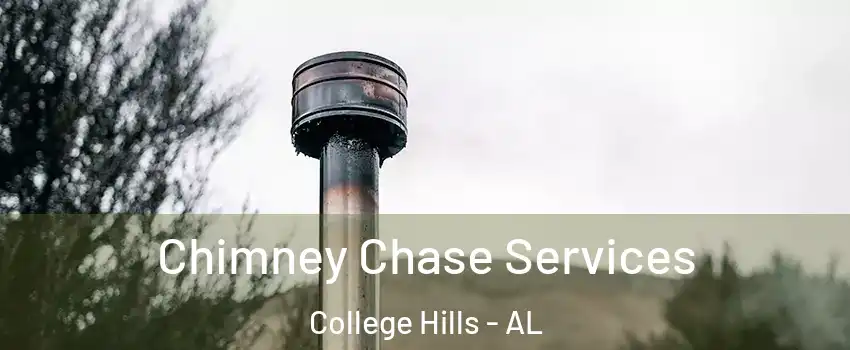 Chimney Chase Services College Hills - AL