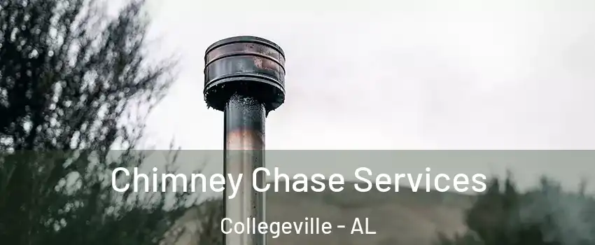 Chimney Chase Services Collegeville - AL