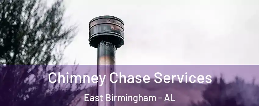 Chimney Chase Services East Birmingham - AL