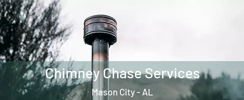 Chimney Chase Services Mason City - AL