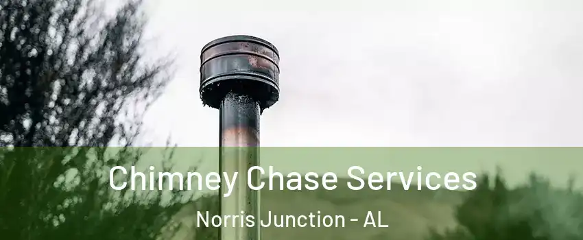 Chimney Chase Services Norris Junction - AL