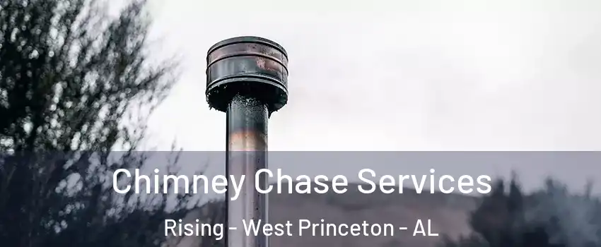 Chimney Chase Services Rising - West Princeton - AL