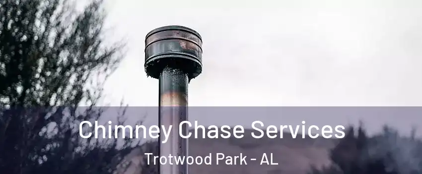 Chimney Chase Services Trotwood Park - AL