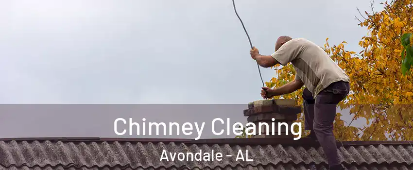 Chimney Cleaning Avondale - AL
