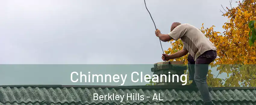 Chimney Cleaning Berkley Hills - AL