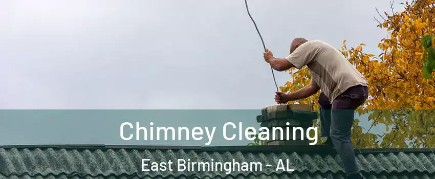 Chimney Cleaning East Birmingham - AL