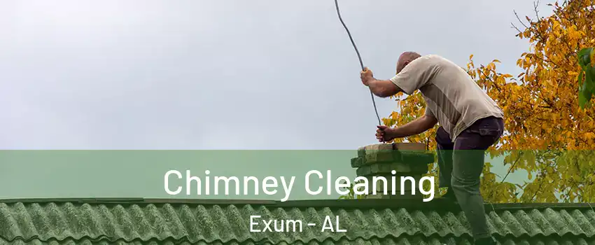 Chimney Cleaning Exum - AL