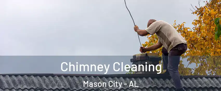 Chimney Cleaning Mason City - AL