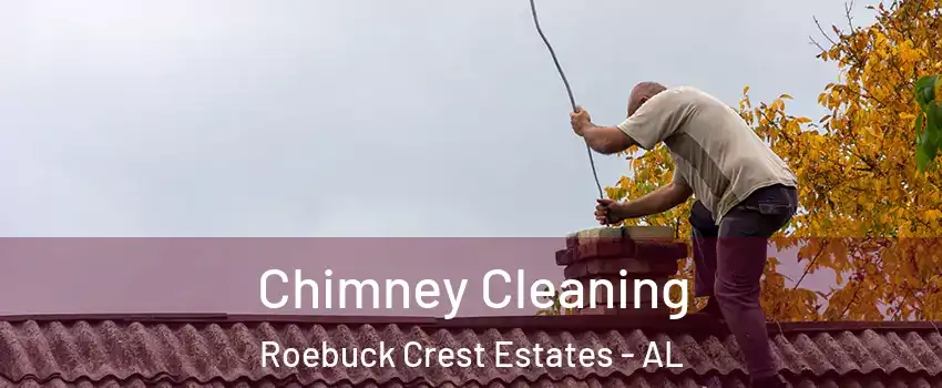 Chimney Cleaning Roebuck Crest Estates - AL