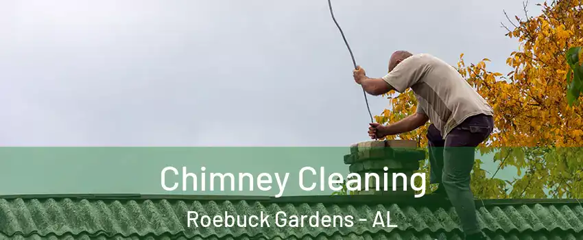 Chimney Cleaning Roebuck Gardens - AL