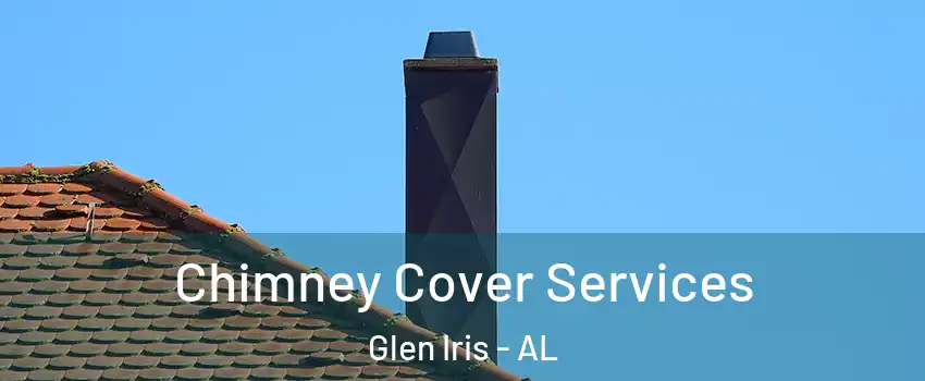 Chimney Cover Services Glen Iris - AL