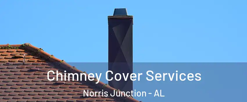 Chimney Cover Services Norris Junction - AL