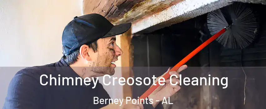 Chimney Creosote Cleaning Berney Points - AL