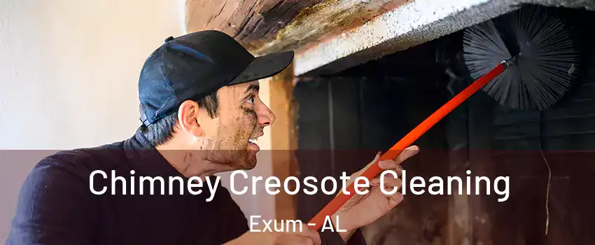 Chimney Creosote Cleaning Exum - AL