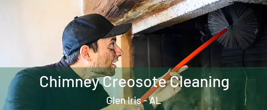 Chimney Creosote Cleaning Glen Iris - AL