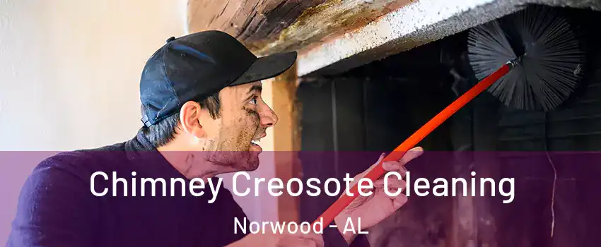 Chimney Creosote Cleaning Norwood - AL