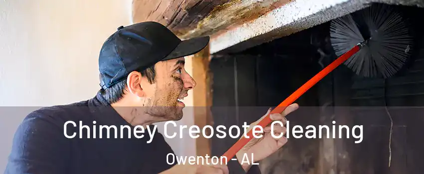 Chimney Creosote Cleaning Owenton - AL