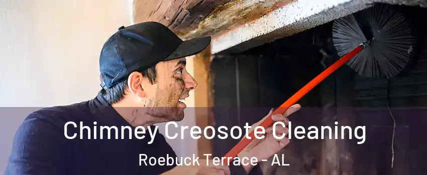 Chimney Creosote Cleaning Roebuck Terrace - AL