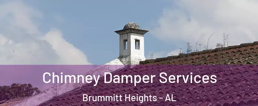 Chimney Damper Services Brummitt Heights - AL