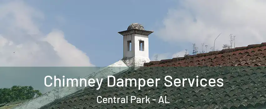Chimney Damper Services Central Park - AL