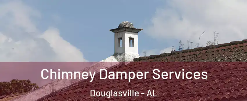 Chimney Damper Services Douglasville - AL