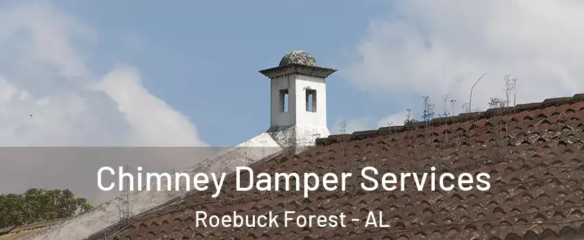 Chimney Damper Services Roebuck Forest - AL