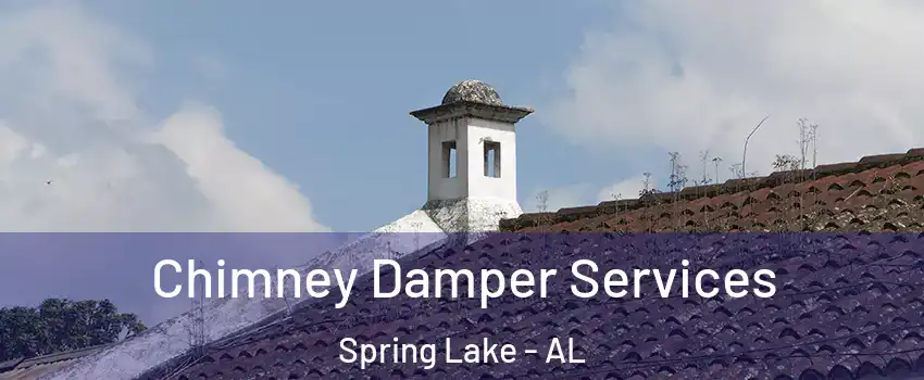 Chimney Damper Services Spring Lake - AL