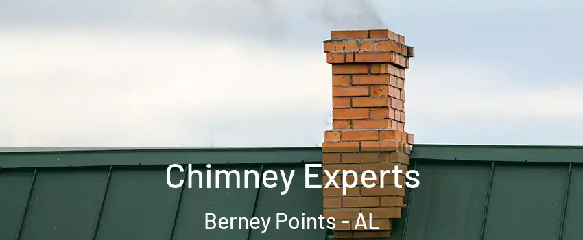 Chimney Experts Berney Points - AL