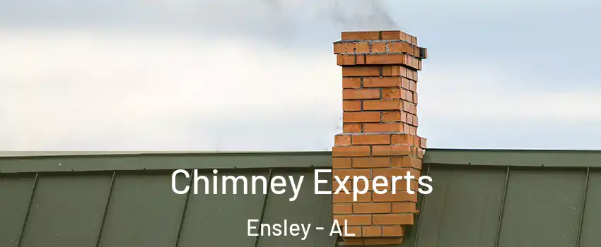 Chimney Experts Ensley - AL