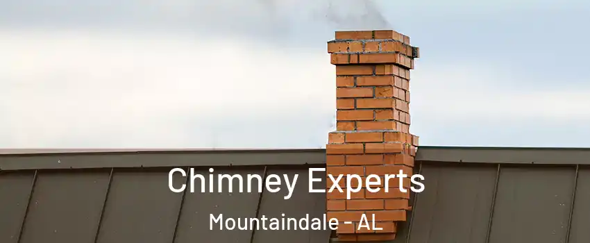Chimney Experts Mountaindale - AL