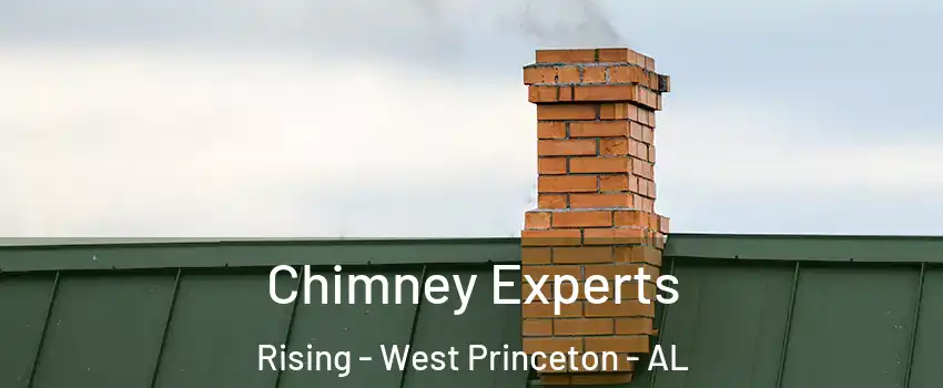 Chimney Experts Rising - West Princeton - AL