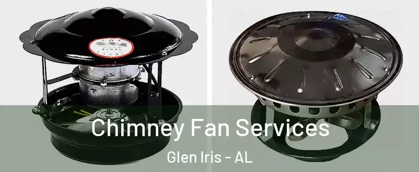 Chimney Fan Services Glen Iris - AL