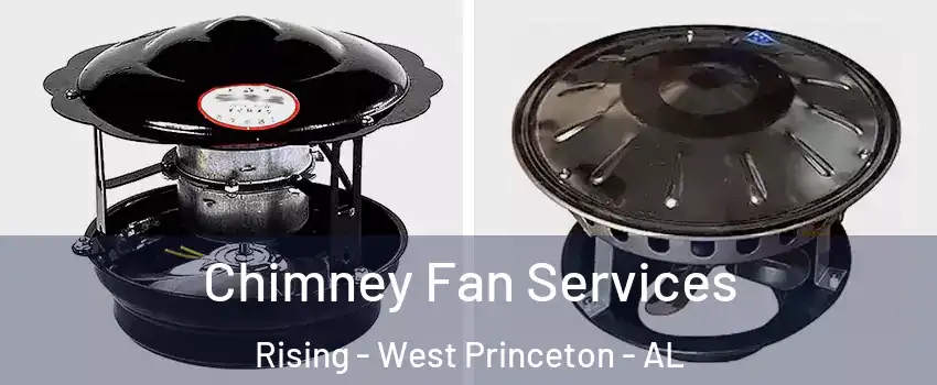 Chimney Fan Services Rising - West Princeton - AL