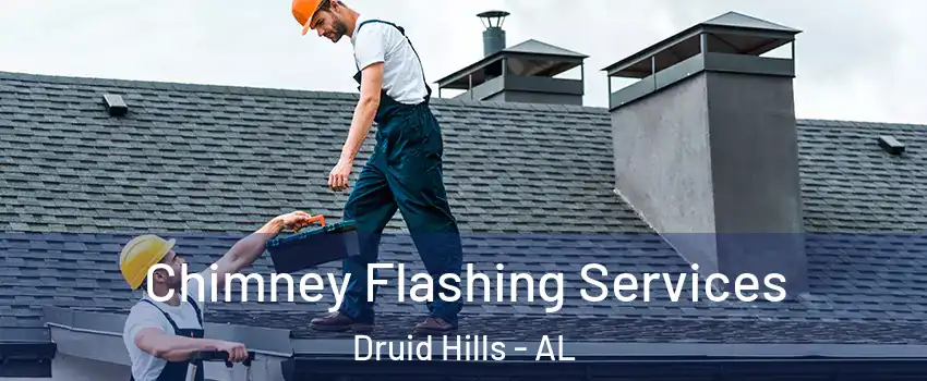 Chimney Flashing Services Druid Hills - AL