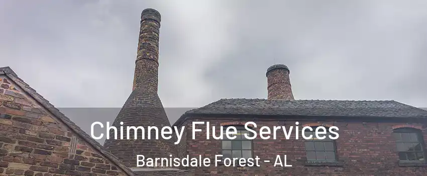 Chimney Flue Services Barnisdale Forest - AL