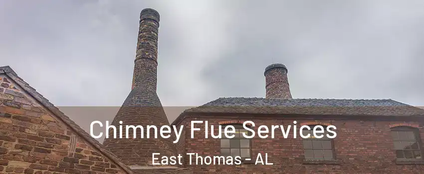 Chimney Flue Services East Thomas - AL