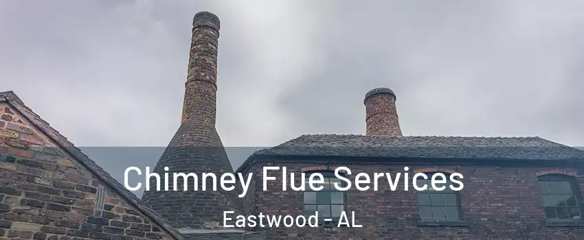 Chimney Flue Services Eastwood - AL