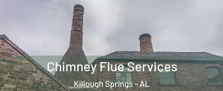 Chimney Flue Services Killough Springs - AL