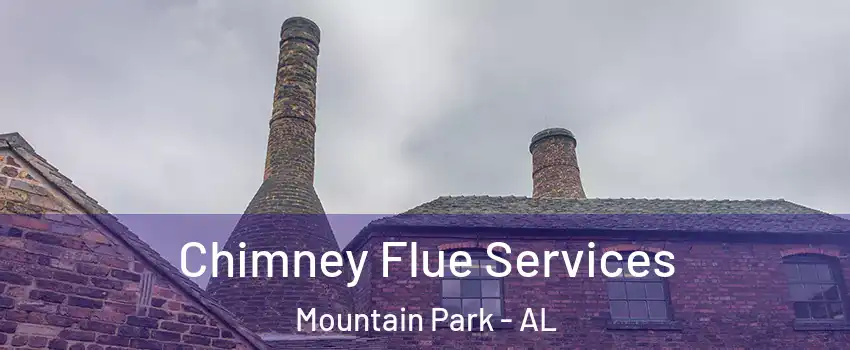 Chimney Flue Services Mountain Park - AL