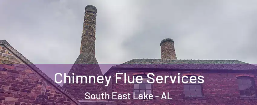 Chimney Flue Services South East Lake - AL