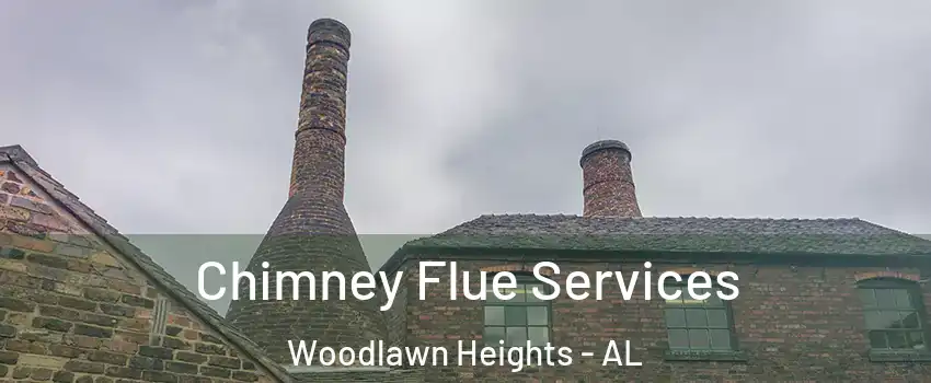 Chimney Flue Services Woodlawn Heights - AL