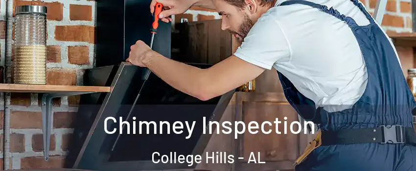 Chimney Inspection College Hills - AL
