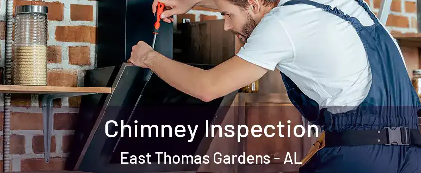 Chimney Inspection East Thomas Gardens - AL