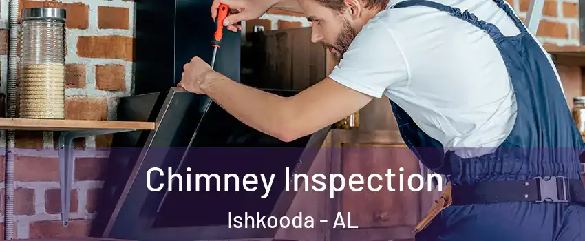 Chimney Inspection Ishkooda - AL