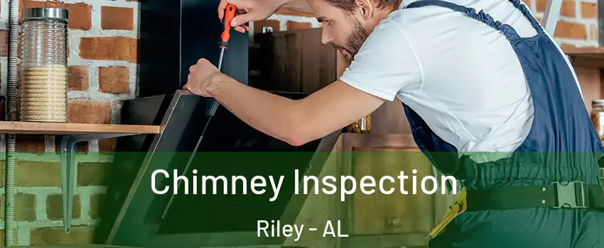 Chimney Inspection Riley - AL