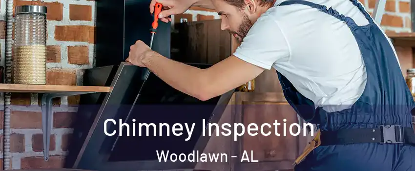 Chimney Inspection Woodlawn - AL