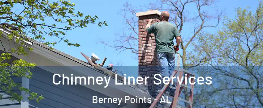 Chimney Liner Services Berney Points - AL