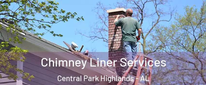 Chimney Liner Services Central Park Highlands - AL